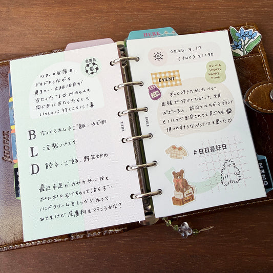 フレームミックスリフィル・グリーン×ピンク | ミニ6